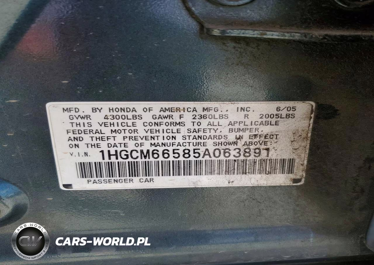 2005 Honda Accord Ex VIN:1HGCM66585A063891 - 12