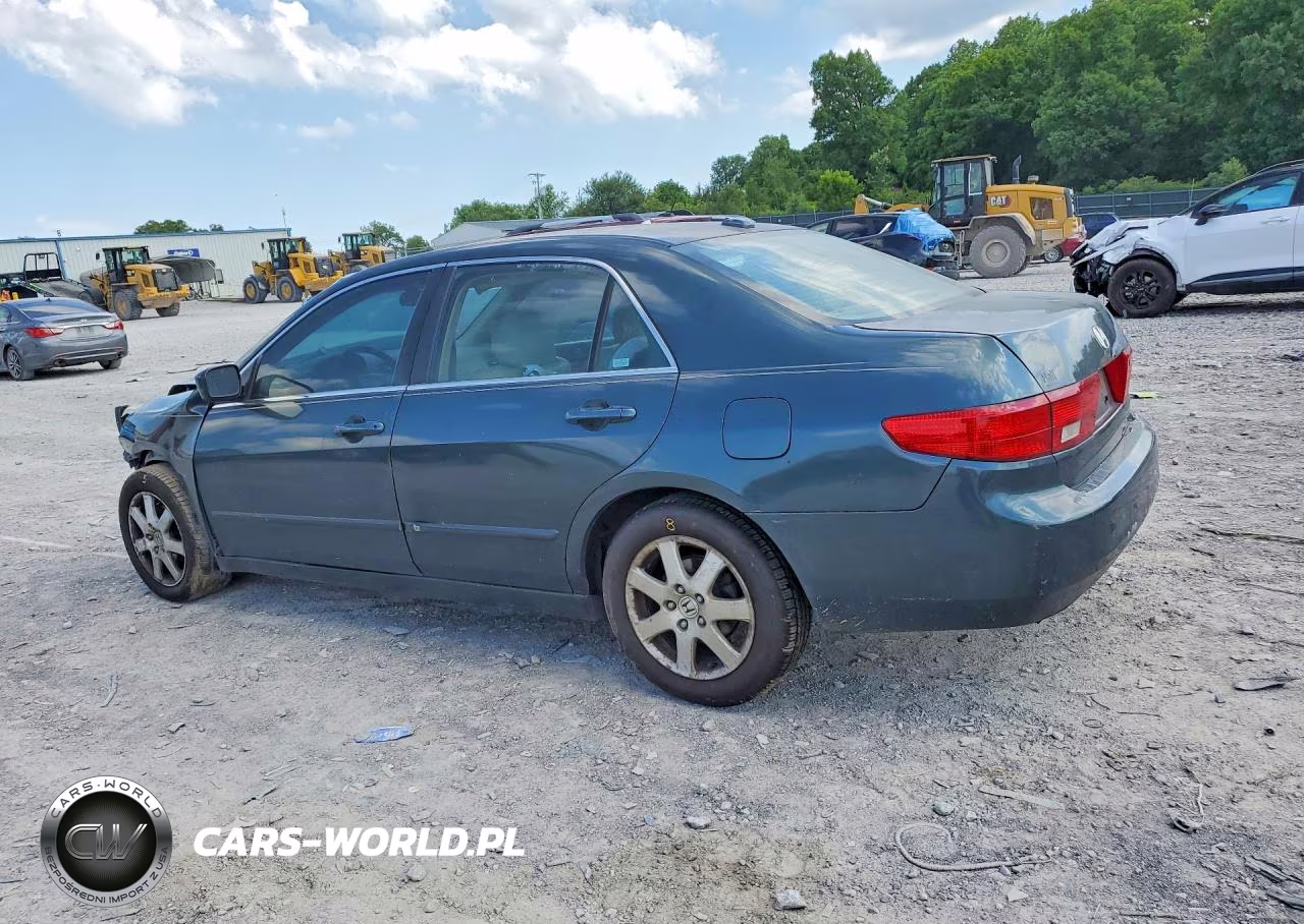 2005 Honda Accord Ex VIN:1HGCM66585A063891 - 2