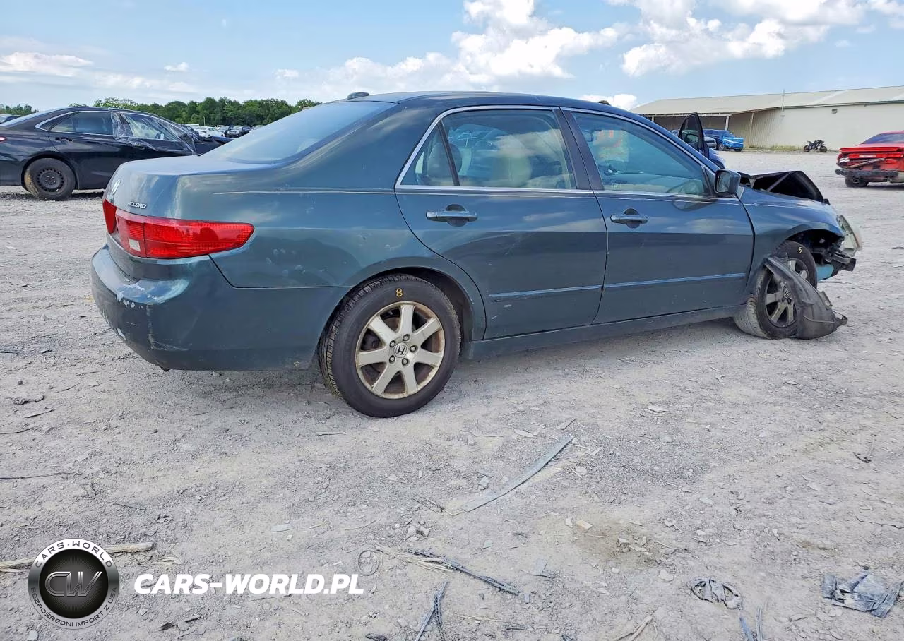 2005 Honda Accord Ex VIN:1HGCM66585A063891 - 3