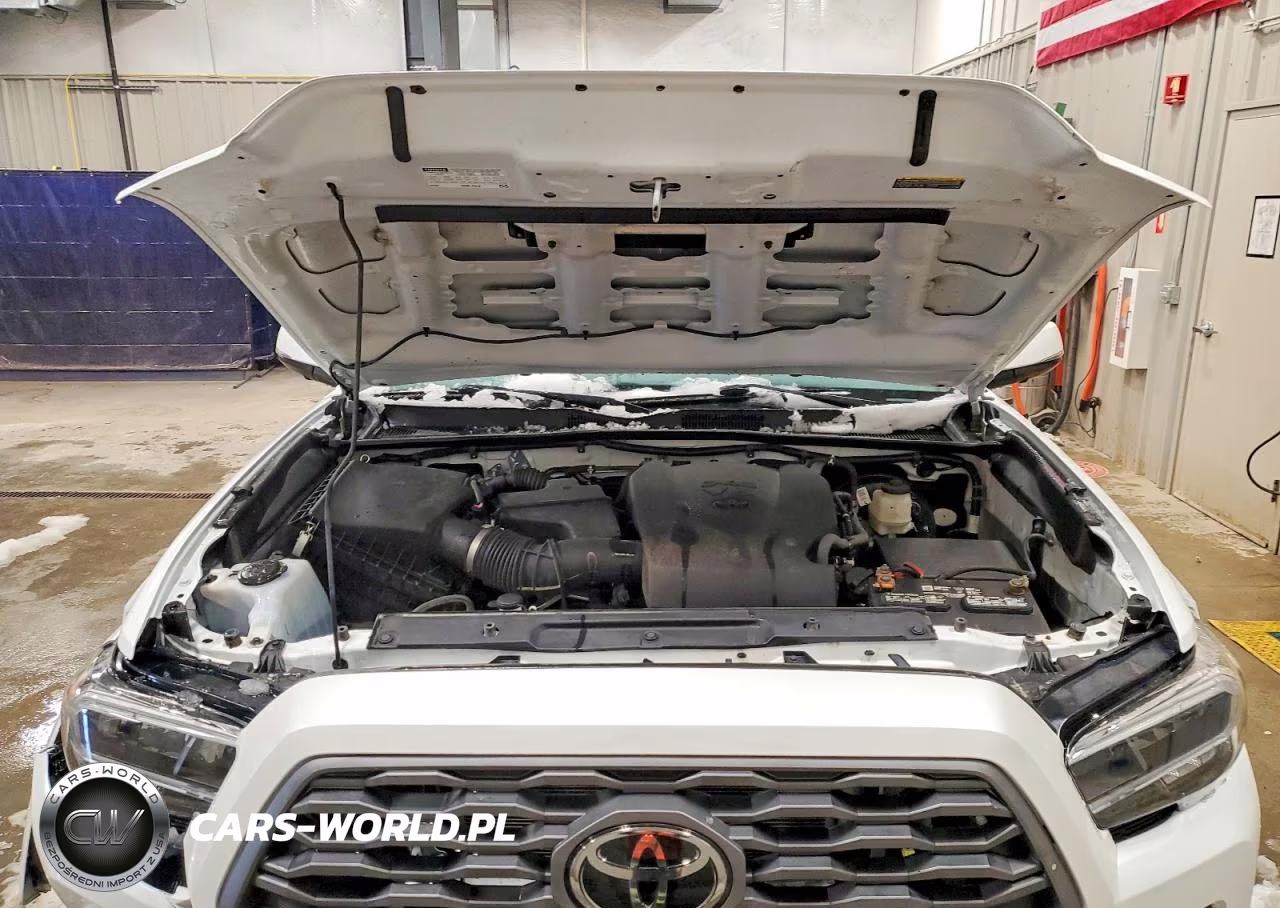 2021 Toyota Tacoma Trd Sport VIN:3TYDZ5BN2MT001266 - 11