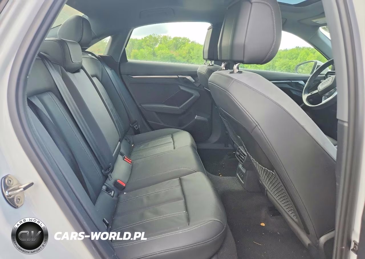 2023 Audi A3 Premium Plus VIN:WAUHUDGY4PA103871 - 10