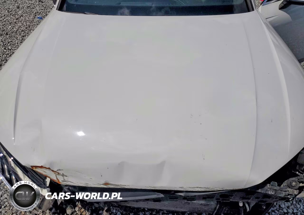 2023 Audi A4 Premium 45 VIN:WAUDAAF4XPN000810 - 11