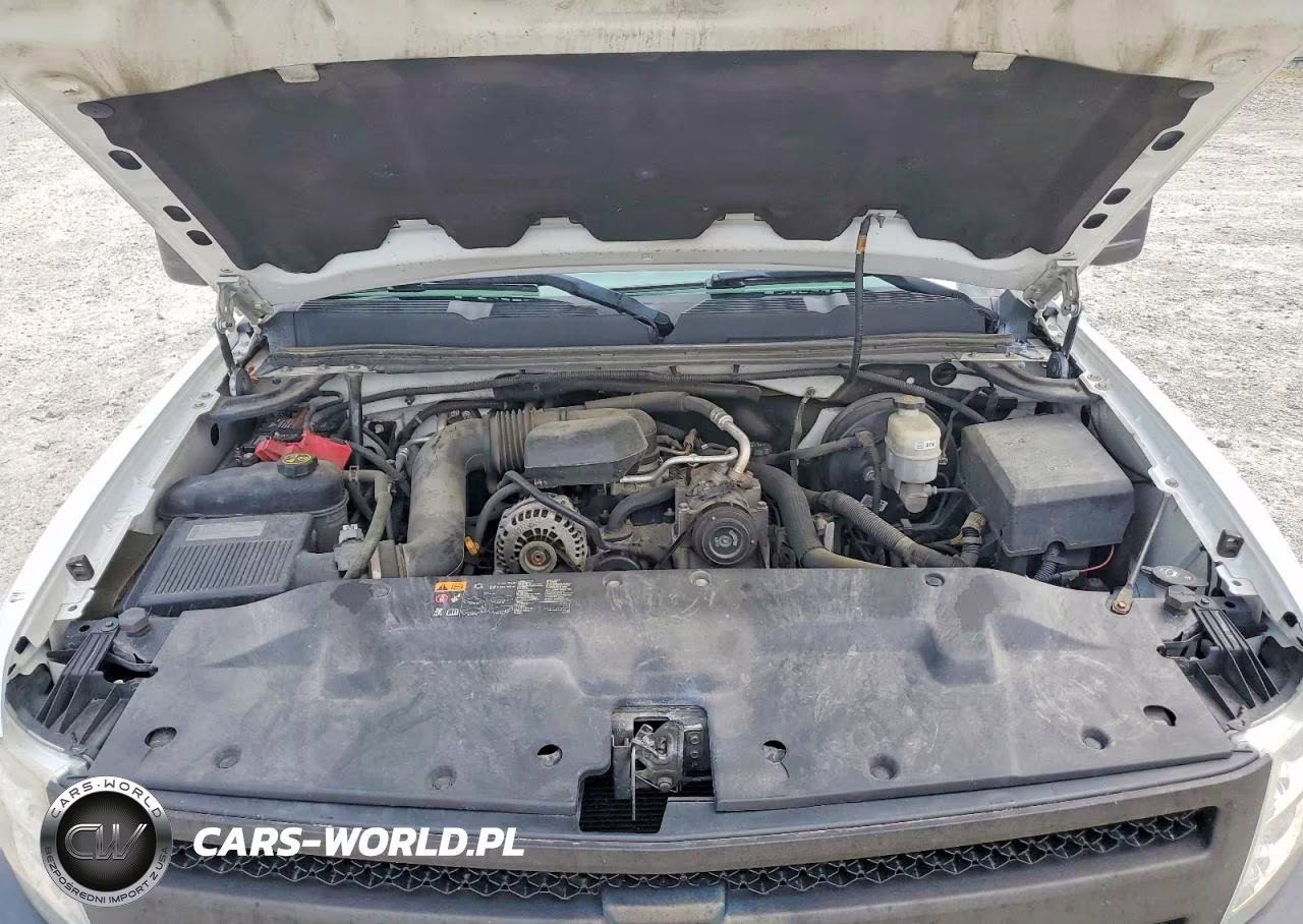 2013 Chevrolet Silverado C1500 VIN:1GCNCPEX5DZ900289 - 11