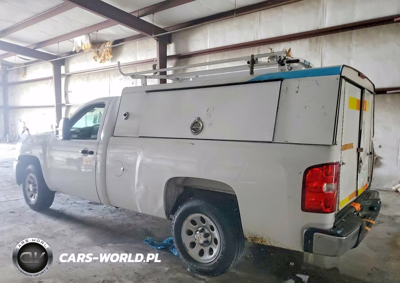 2013 Chevrolet Silverado C1500 VIN:1GCNCPEX5DZ900289 - 2