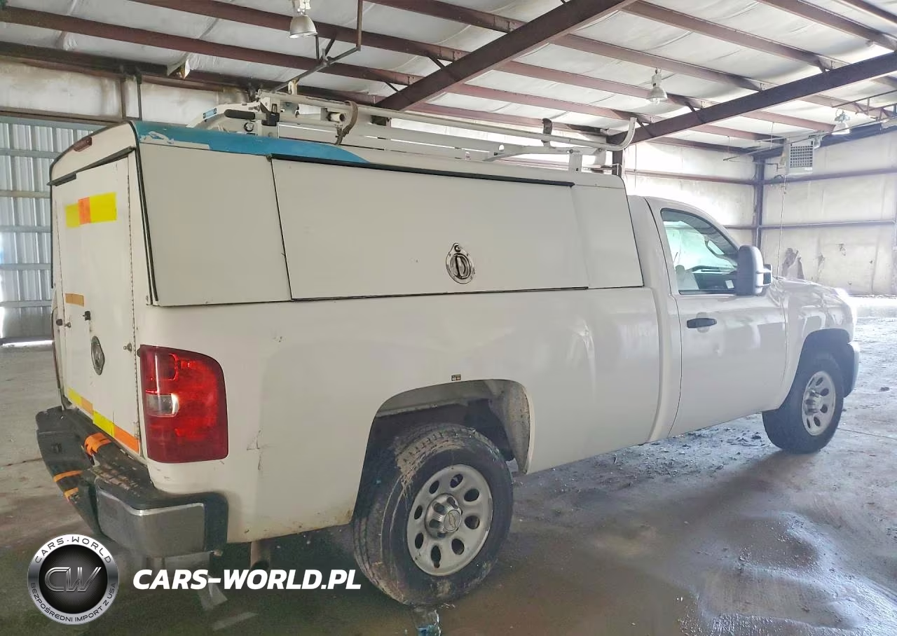 2013 Chevrolet Silverado C1500 VIN:1GCNCPEX5DZ900289 - 3