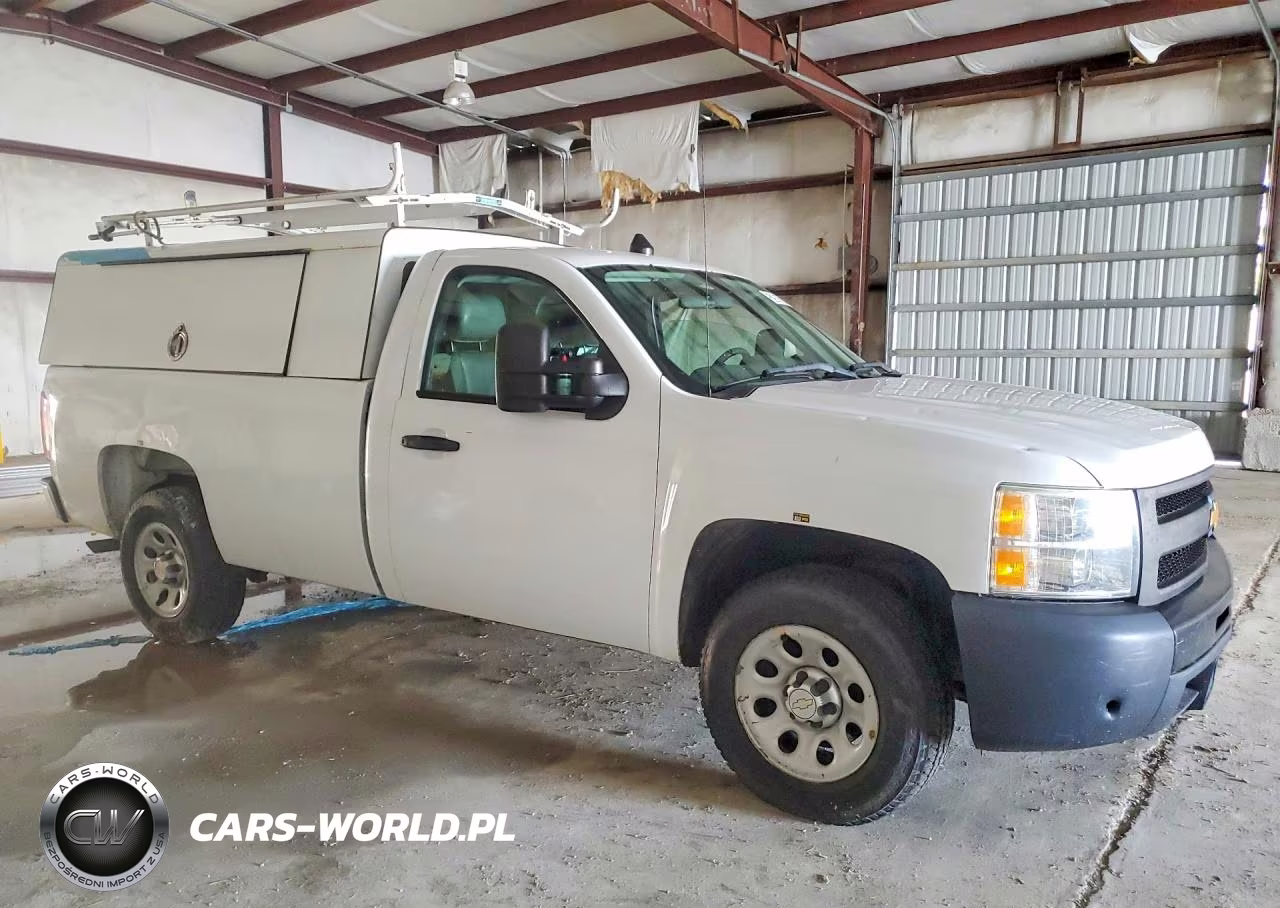 2013 Chevrolet Silverado C1500 VIN:1GCNCPEX5DZ900289 - 4