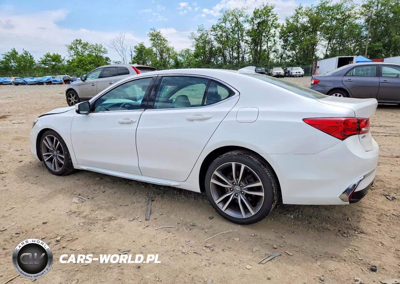 2019 Acura Tlx Technology VIN:19UUB3F40KA001929 - 2