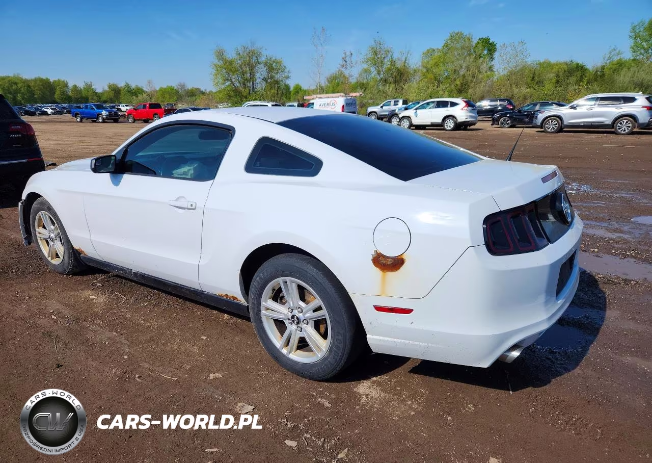 2014 Ford Mustang VIN:1ZVBP8AM7E5239220 - 2