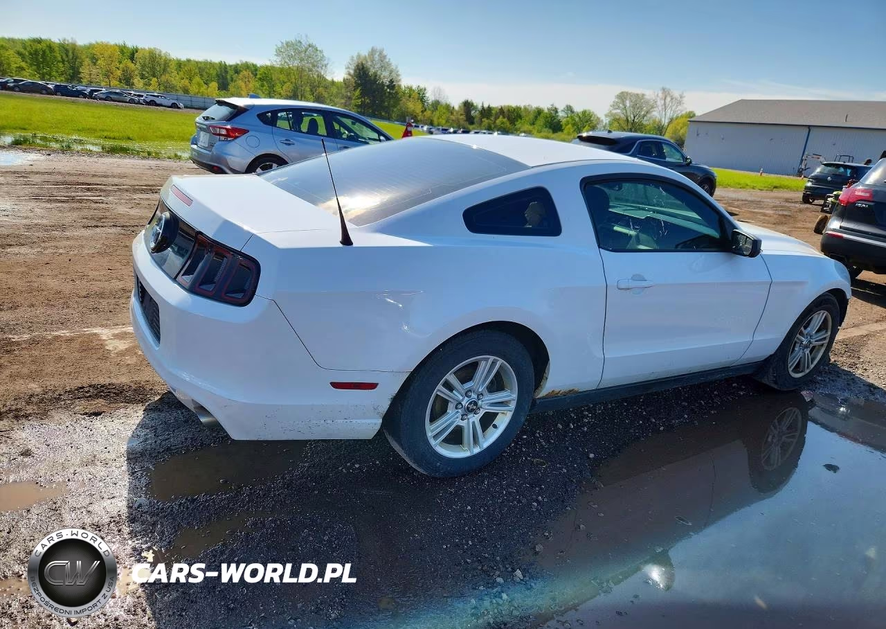 2014 Ford Mustang VIN:1ZVBP8AM7E5239220 - 3