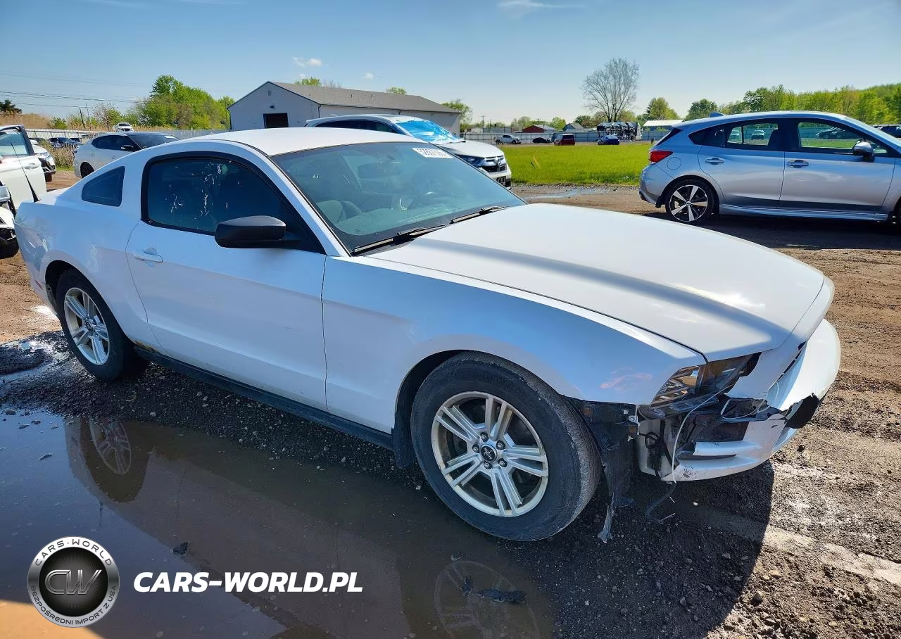 2014 Ford Mustang VIN:1ZVBP8AM7E5239220 - 4