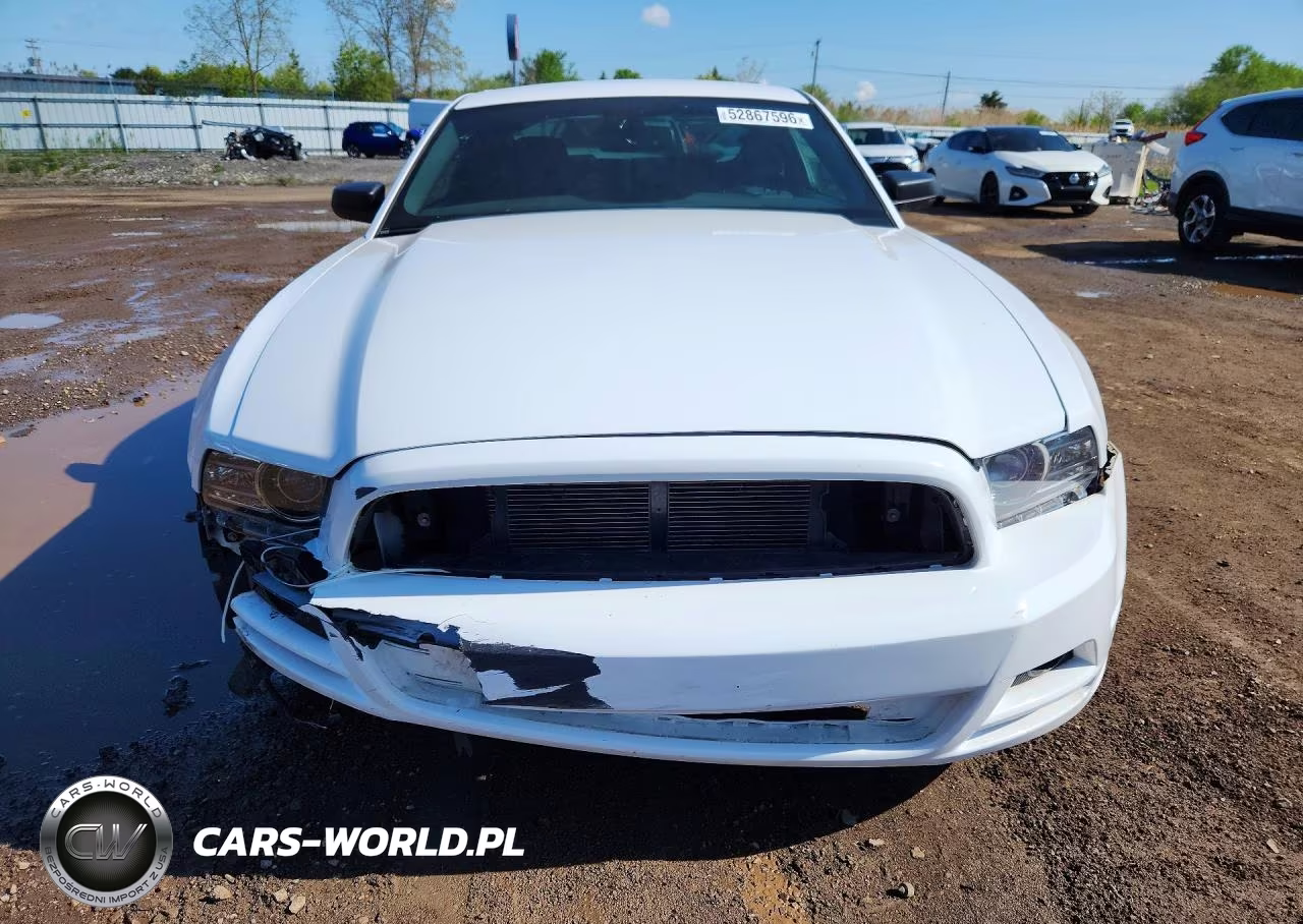 2014 Ford Mustang VIN:1ZVBP8AM7E5239220 - 5