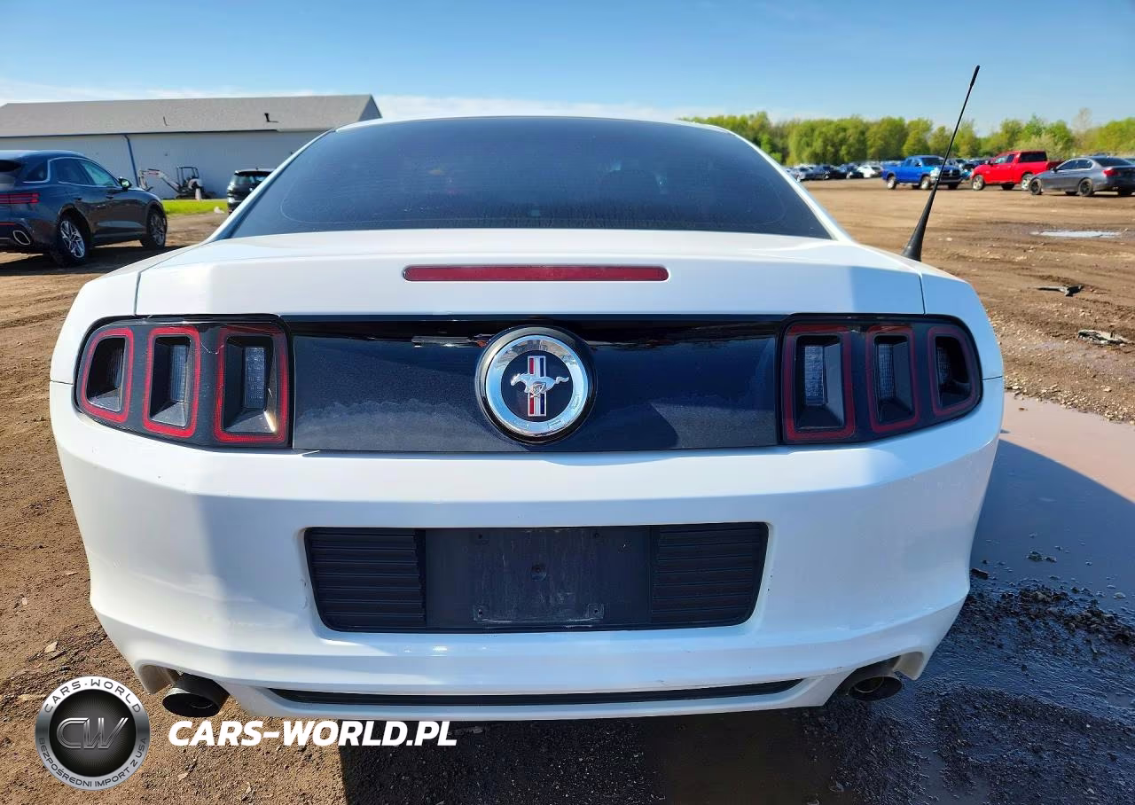 2014 Ford Mustang VIN:1ZVBP8AM7E5239220 - 6