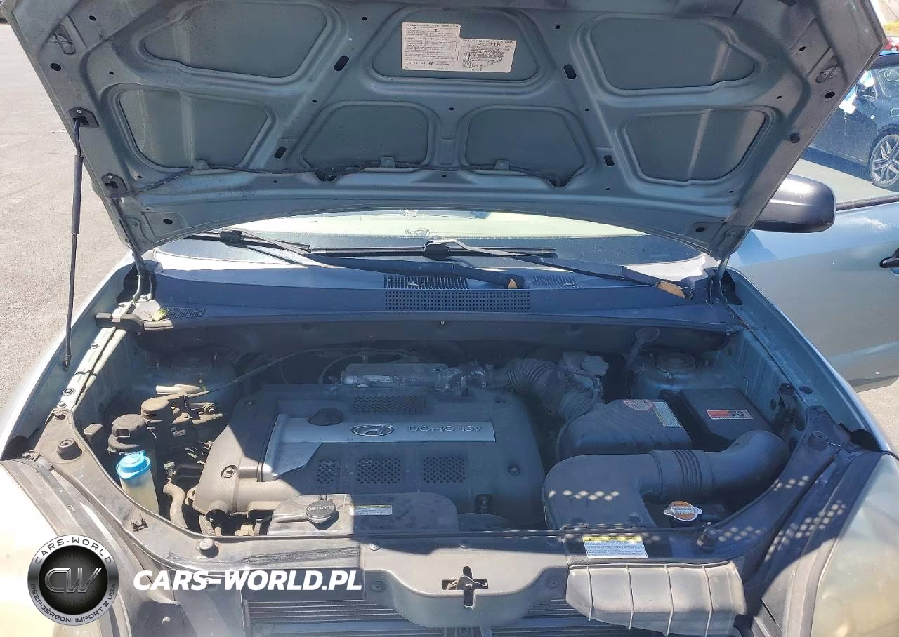 2005 Hyundai Tucson Gl VIN:KM8JM12B05U147671 - 12
