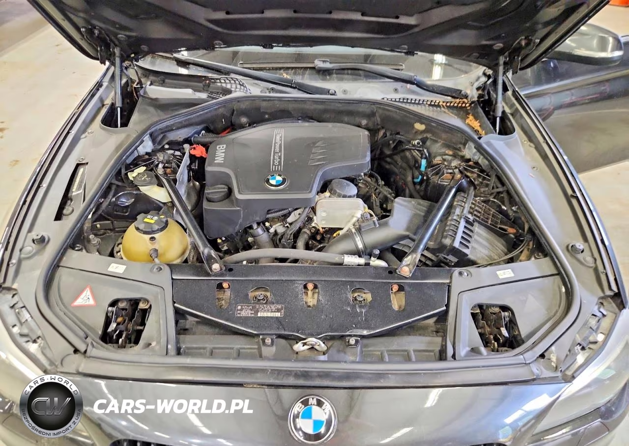 2015 BMW 528 Xi VIN:WBA5A7C56FD626301 - 11