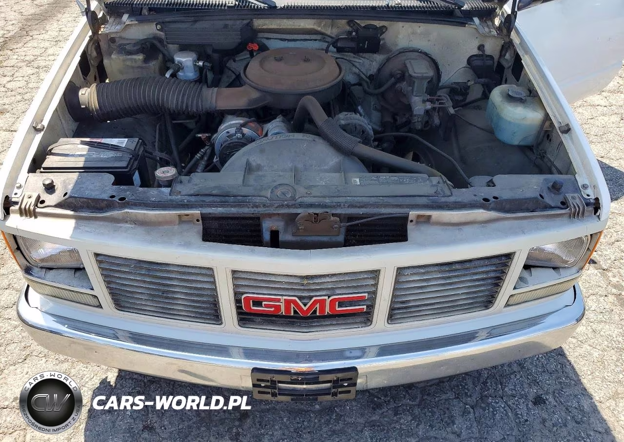 1993 GMC Sierra C1500 VIN:1GTEC14H1PZ524346 - 11