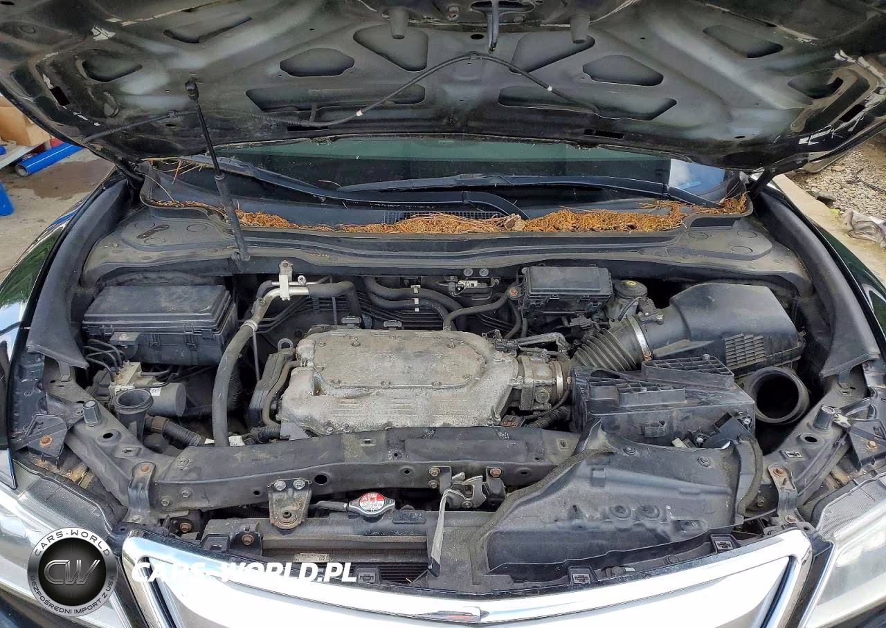 2016 Acura Mdx Technology VIN:5FRYD4H42GB025501 - 11