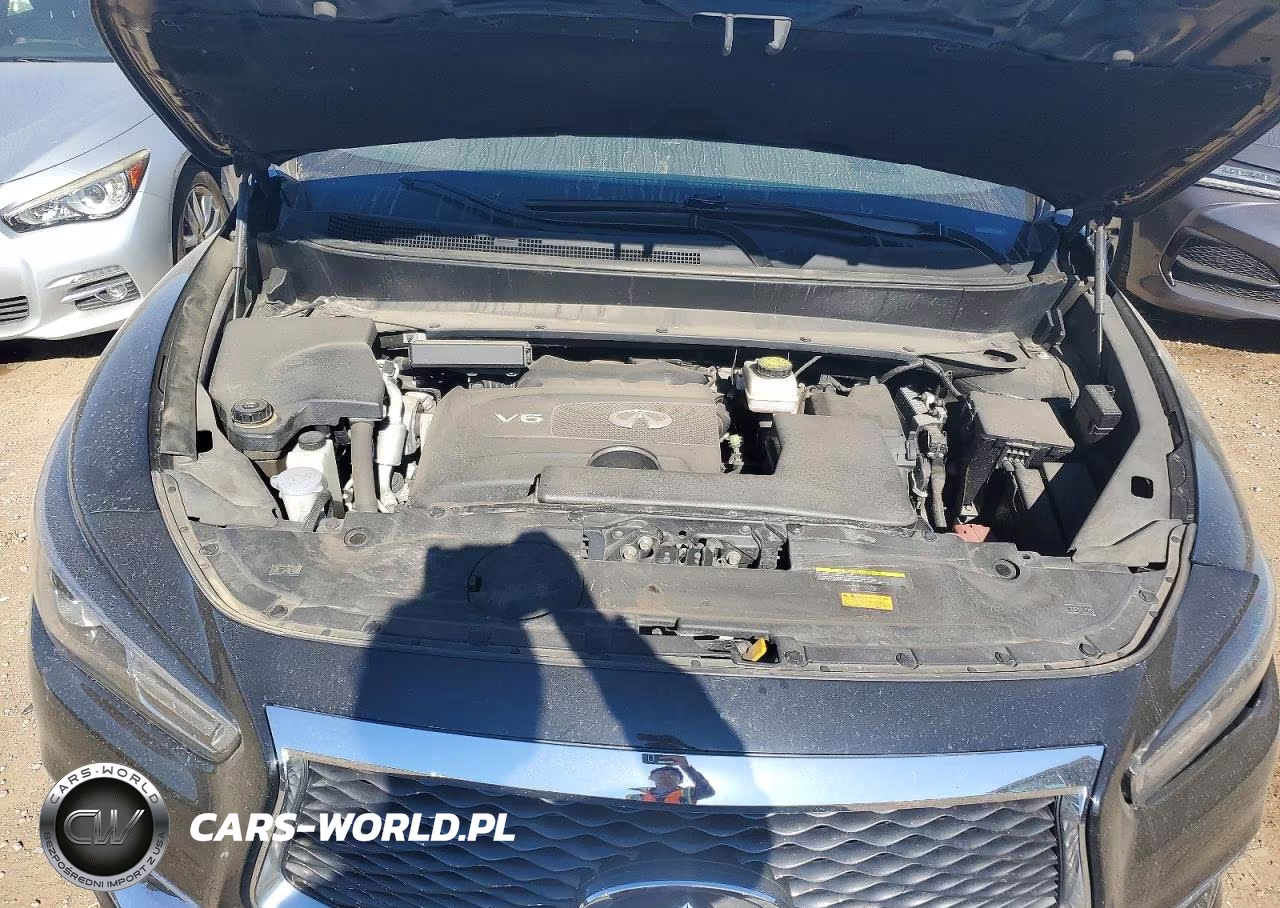 2019 Infiniti Qx60 Luxe VIN:5N1DL0MM5KC521735 - 11
