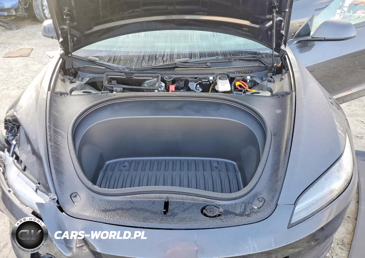 2025 Tesla Model 3 VIN:5YJ3E1EA7SF030493 - 11