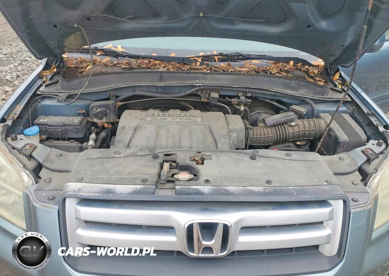 2006 Honda Pilot Ex VIN:2HKYF18636H519488 - 12