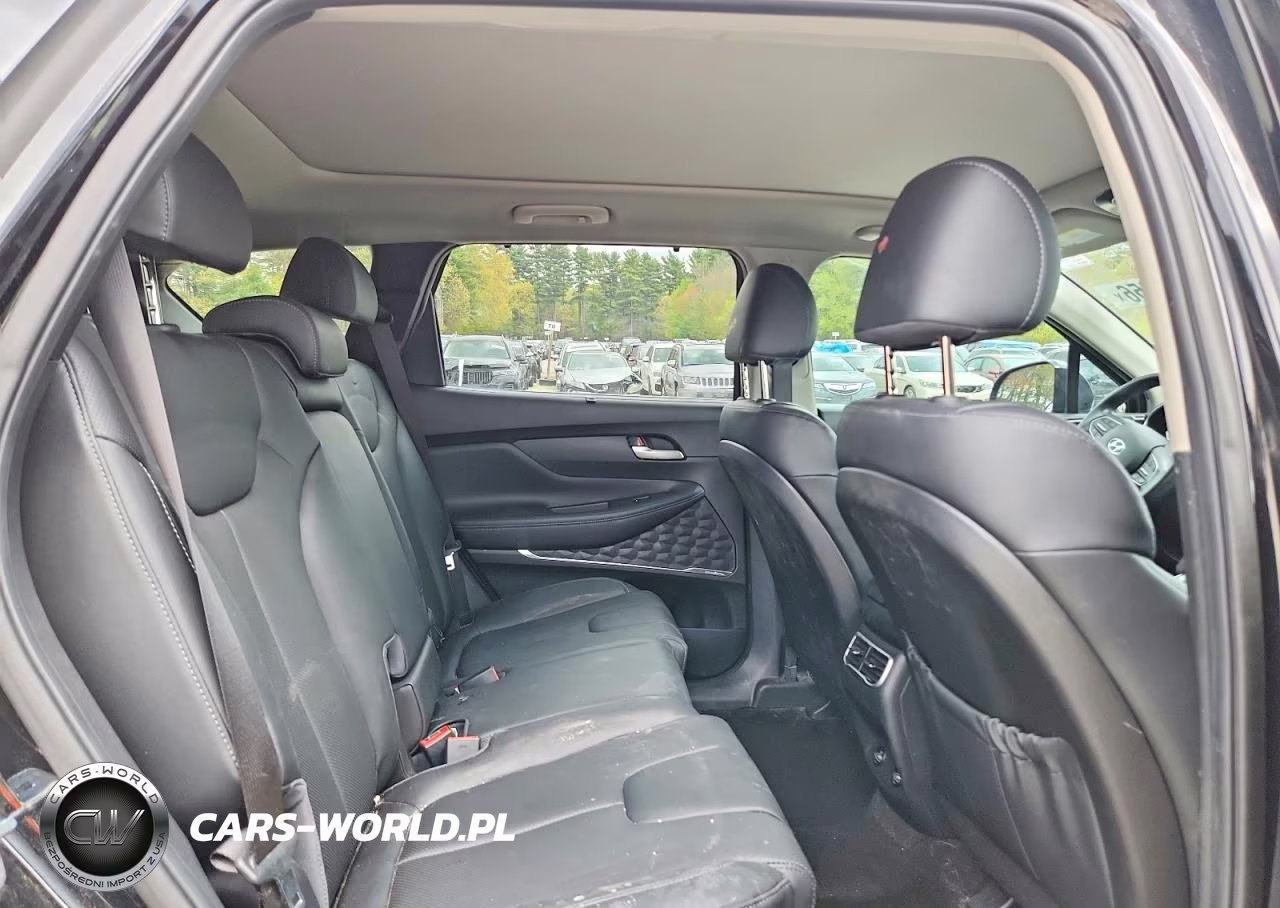 2023 Hyundai Santa Fe Sel Premium VIN:5NMS3DAJ0PH578561 - 11