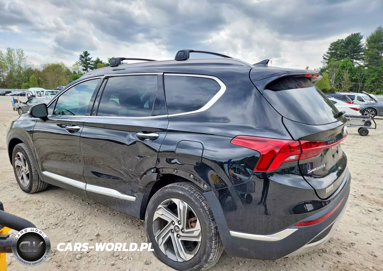 2023 Hyundai Santa Fe Sel Premium VIN:5NMS3DAJ0PH578561 - 2