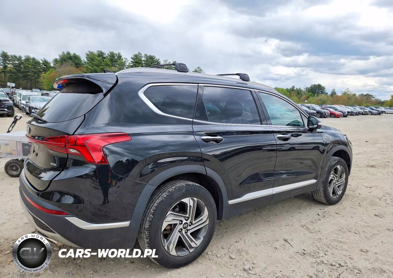 2023 Hyundai Santa Fe Sel Premium VIN:5NMS3DAJ0PH578561 - 3
