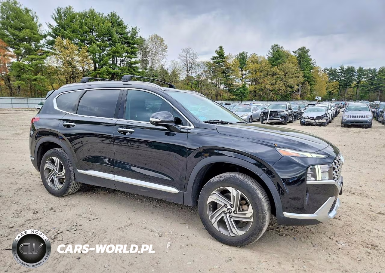 2023 Hyundai Santa Fe Sel Premium VIN:5NMS3DAJ0PH578561 - 4
