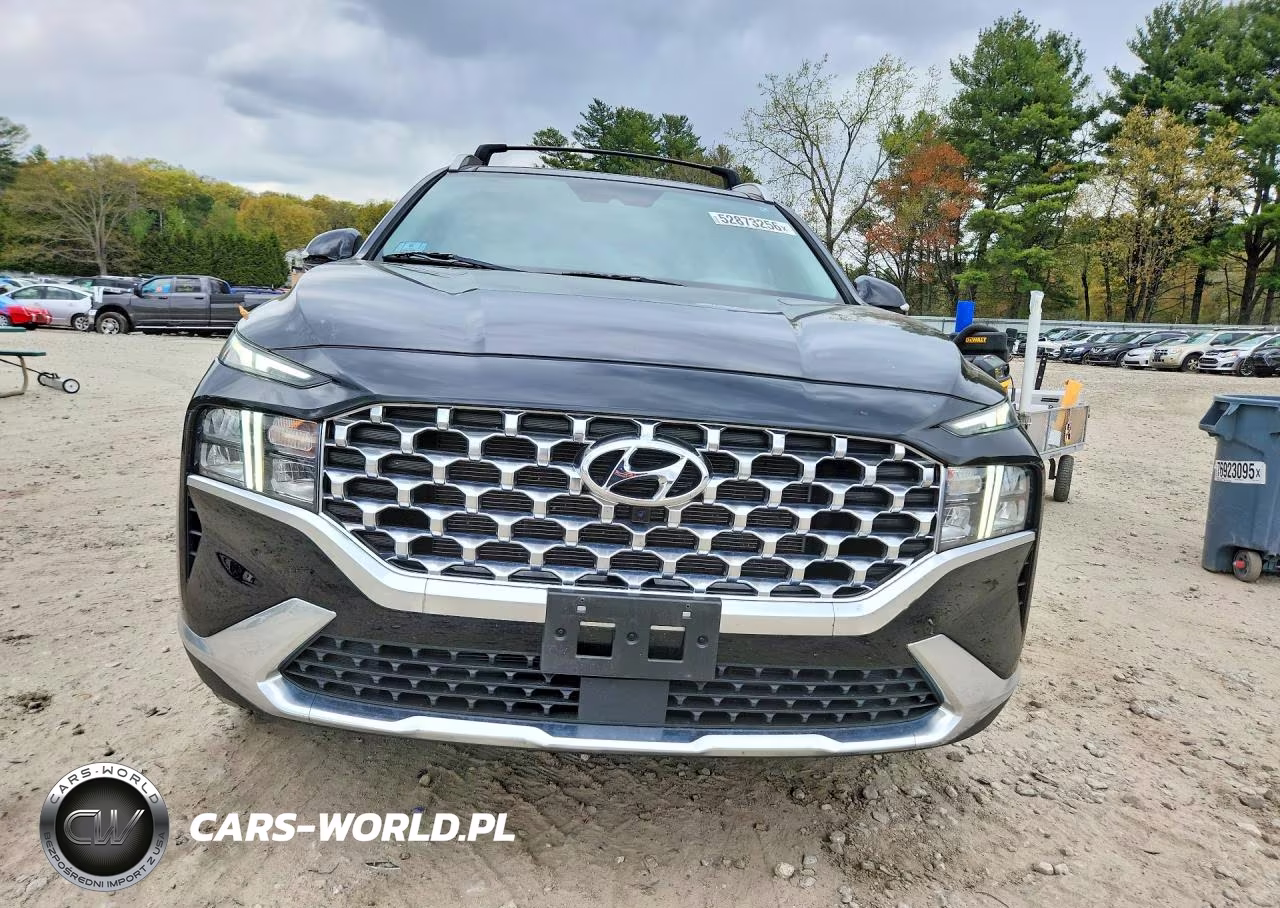 2023 Hyundai Santa Fe Sel Premium VIN:5NMS3DAJ0PH578561 - 5