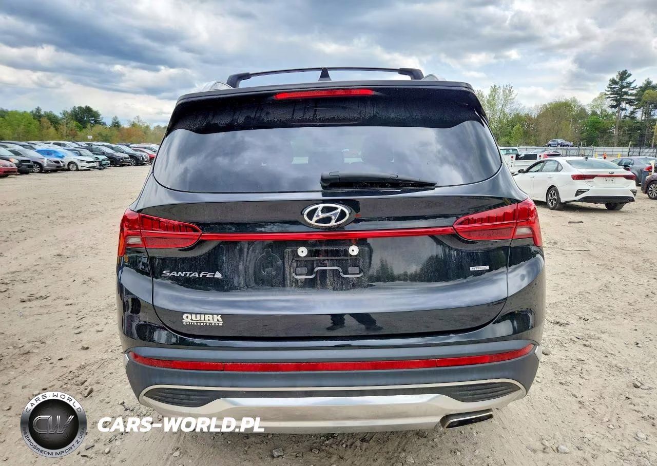 2023 Hyundai Santa Fe Sel Premium VIN:5NMS3DAJ0PH578561 - 6