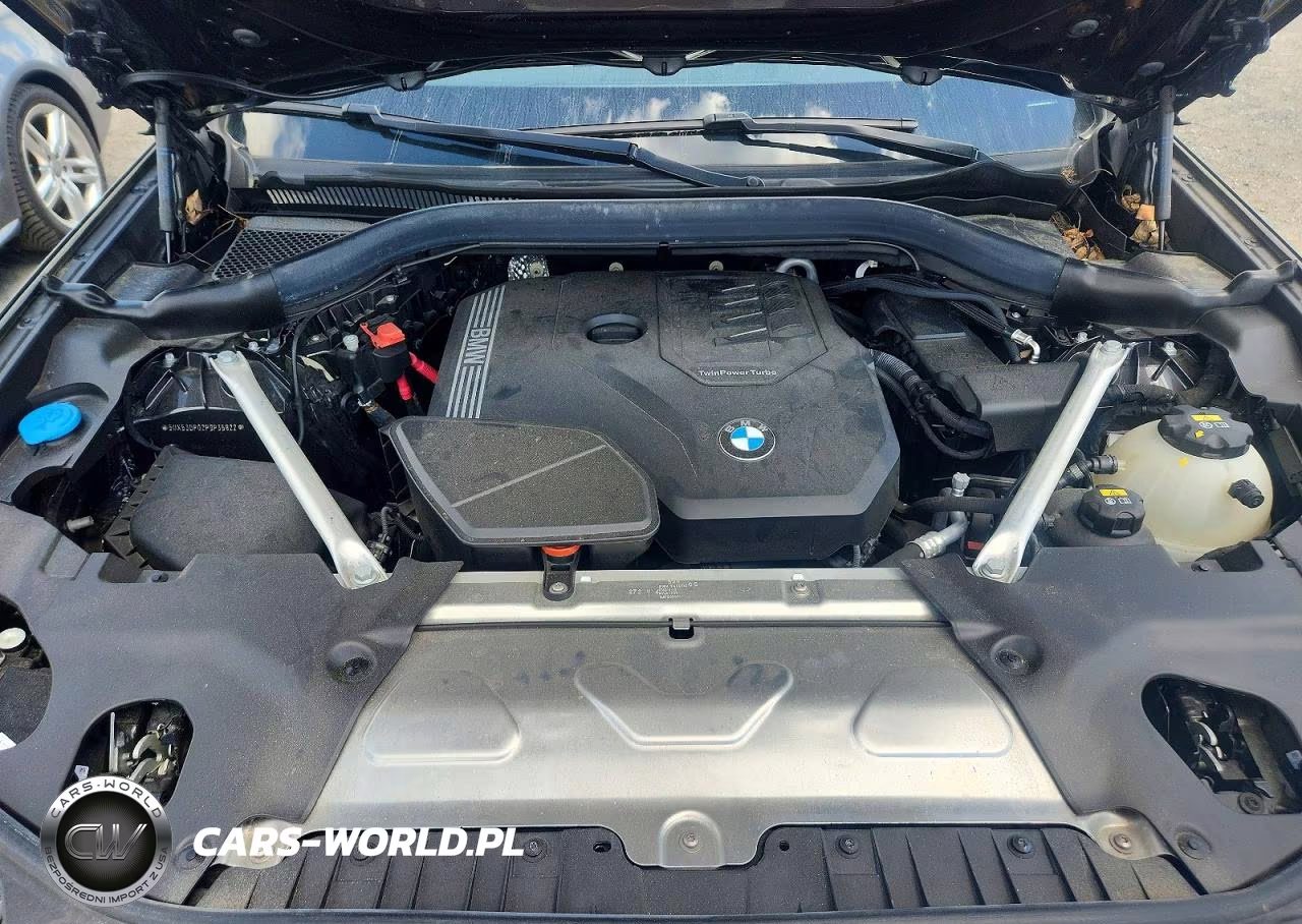 2023 BMW X3 xDrive30I VIN:5UX53DP02P9P35822 - 12