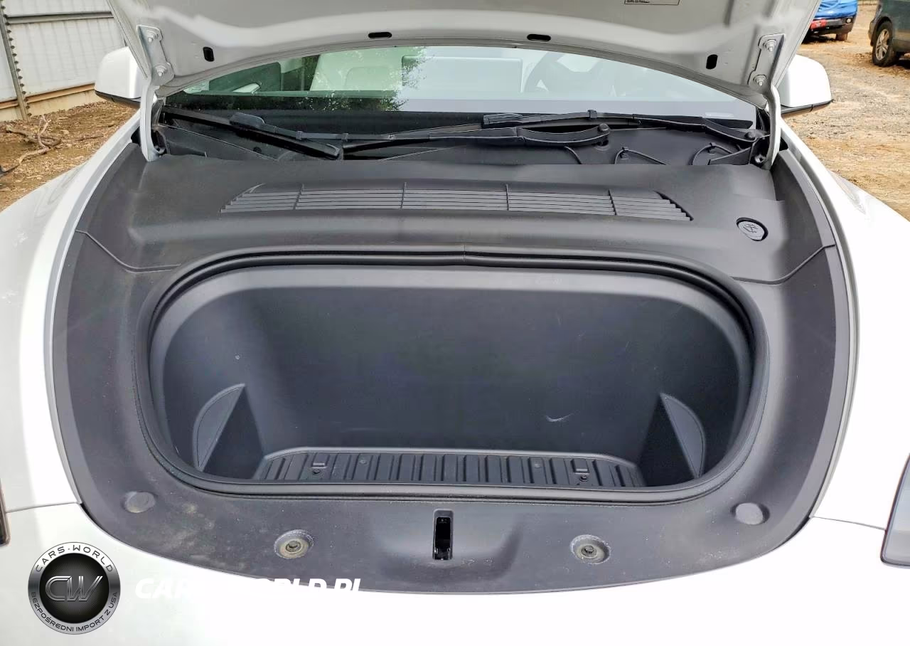 2023 Tesla Model Y VIN:7SAYGDEE0PF795382 - 11