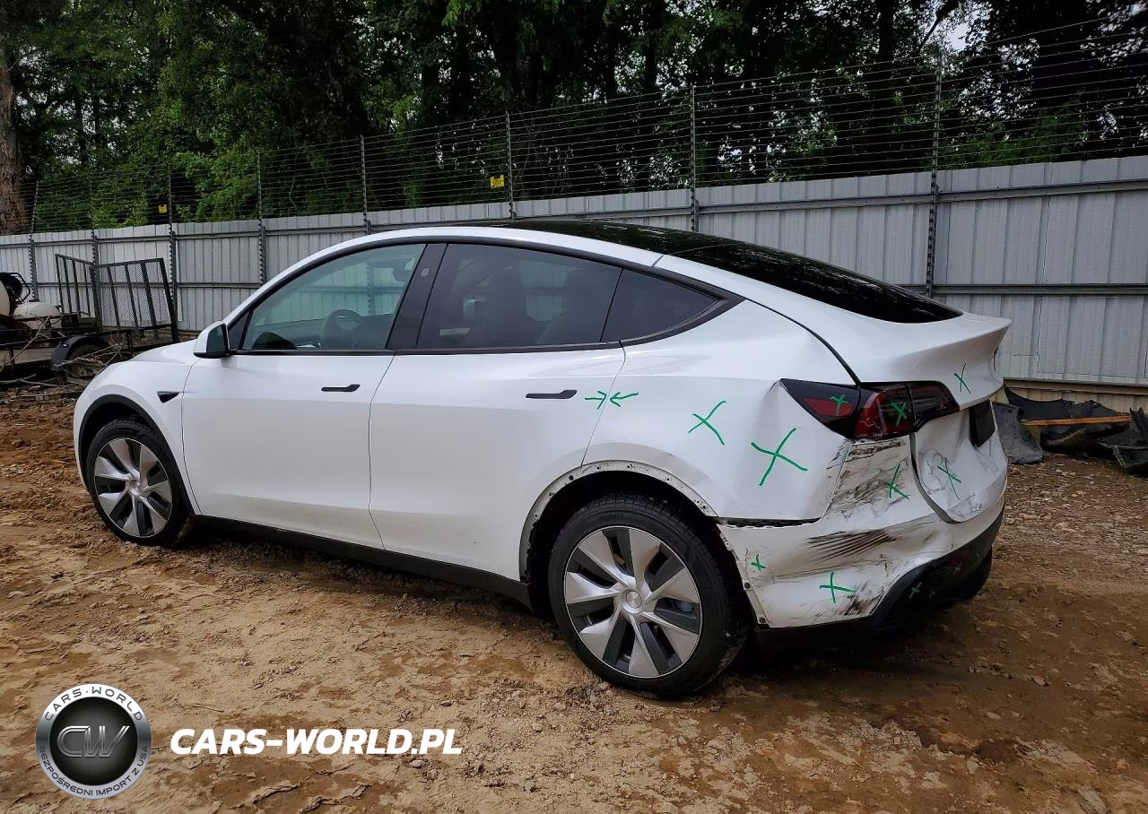 2023 Tesla Model Y VIN:7SAYGDEE0PF795382 - 2