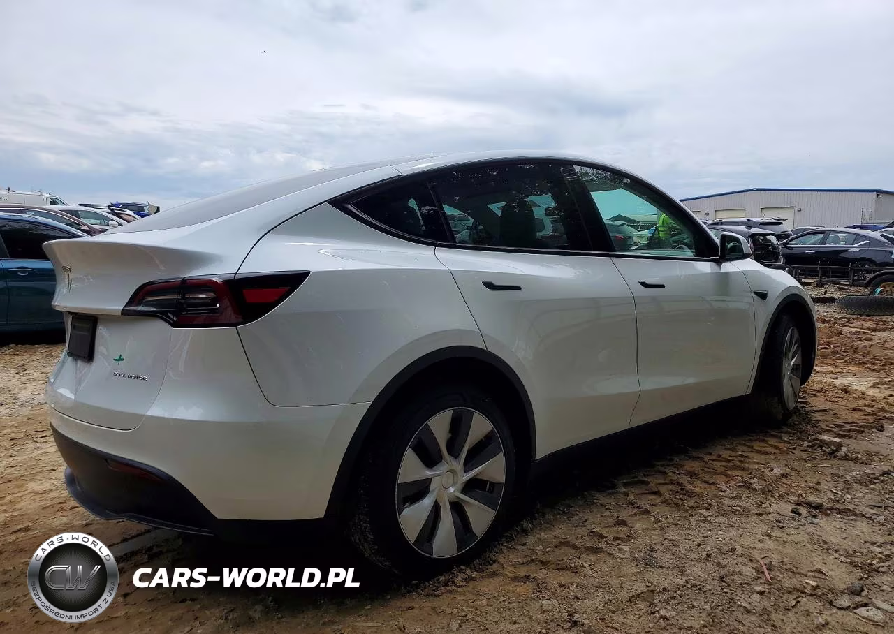2023 Tesla Model Y VIN:7SAYGDEE0PF795382 - 3