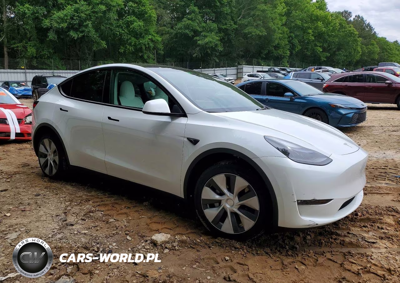 2023 Tesla Model Y VIN:7SAYGDEE0PF795382 - 4