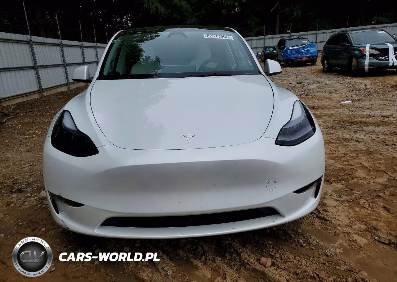 2023 Tesla Model Y VIN:7SAYGDEE0PF795382 - 5