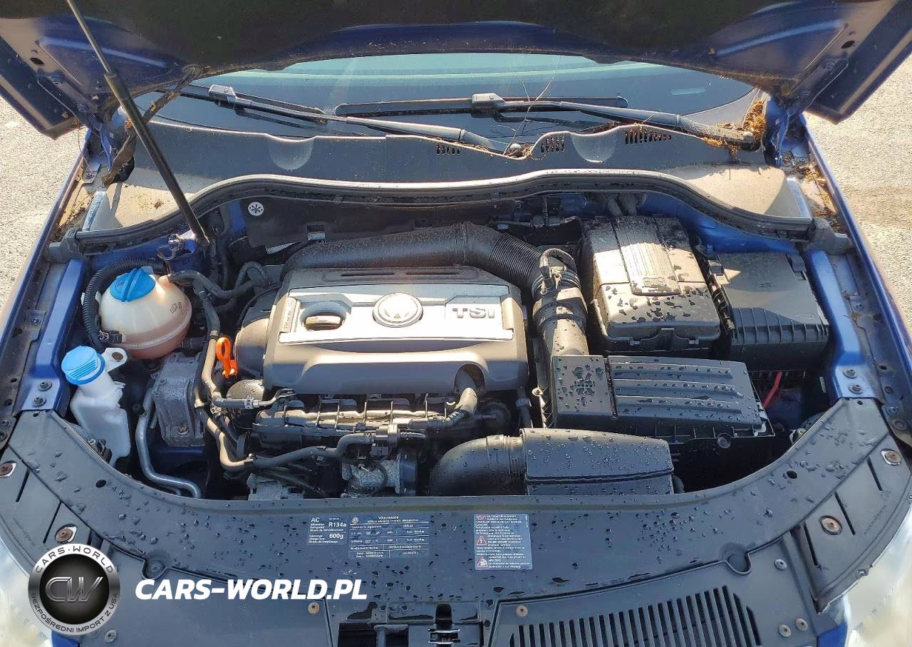 2009 Volkswagen Passat Turbo VIN:WVWJK73C19E013224 - 11