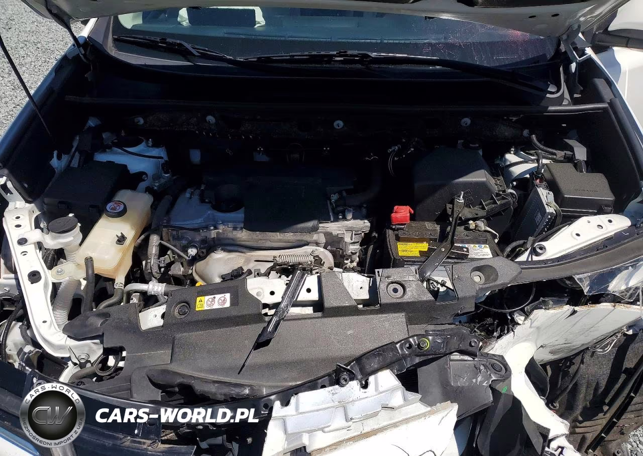 2018 Toyota Rav4 Xle VIN:JTMRFREV9JJ256051 - 12