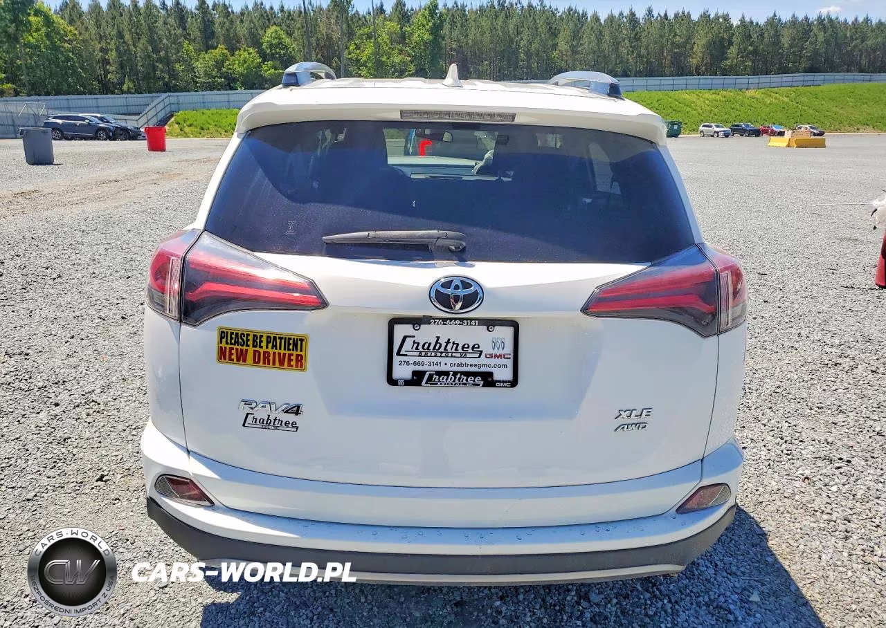 2018 Toyota Rav4 Xle VIN:JTMRFREV9JJ256051 - 6