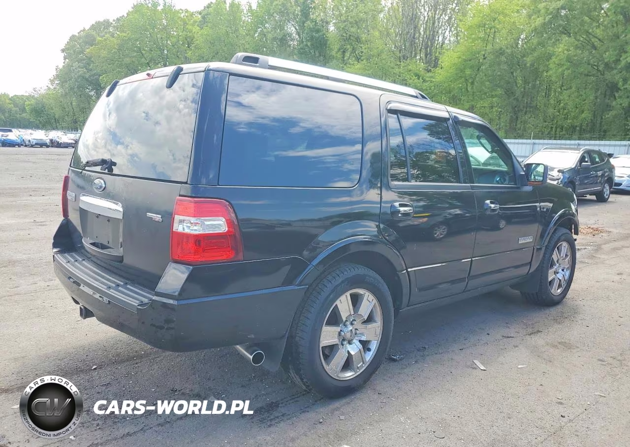 2008 Ford Expedition Limited VIN:1FMFU20518LA35660 - 3