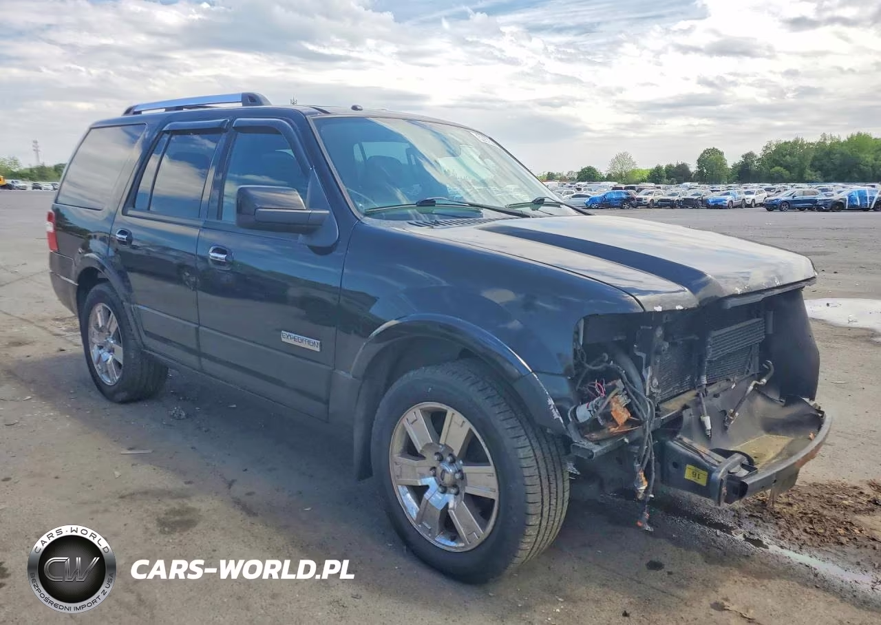 2008 Ford Expedition Limited VIN:1FMFU20518LA35660 - 4
