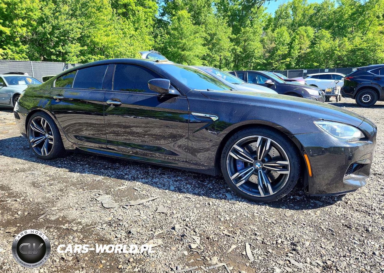 2014 BMW M6 Gran Coupe VIN:WBS6C9C58ED466782 - 4