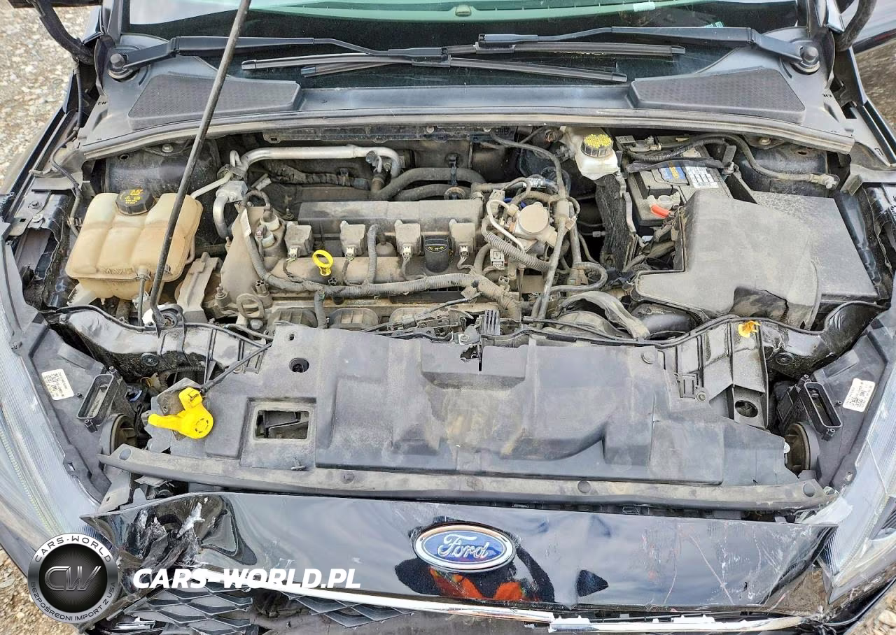 2018 Ford Focus Sel VIN:1FADP3H23JL258118 - 11