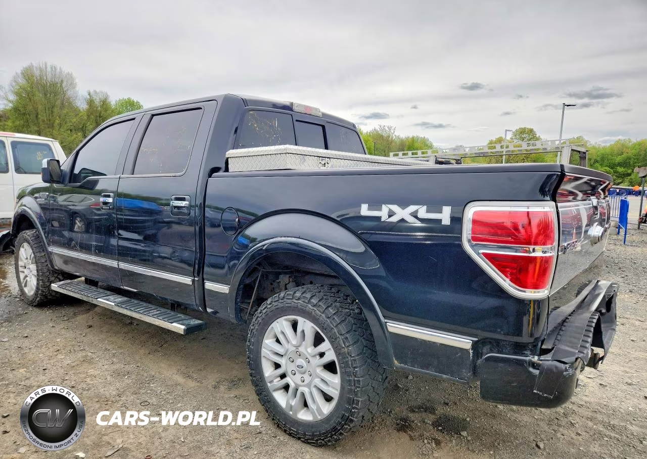 2010 Ford F150 Supercrew VIN:1FTFW1EV1AFB46084 - 2