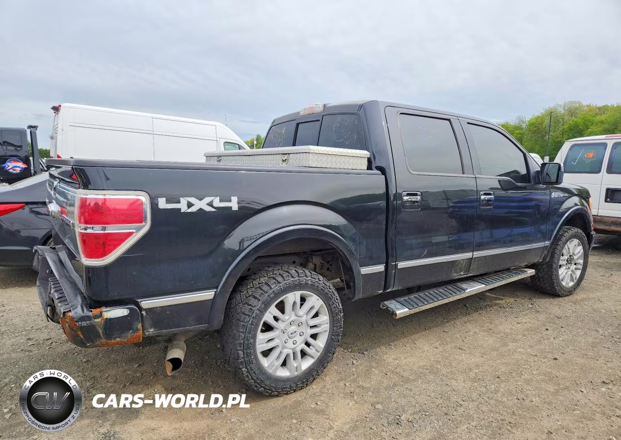 2010 Ford F150 Supercrew VIN:1FTFW1EV1AFB46084 - 3