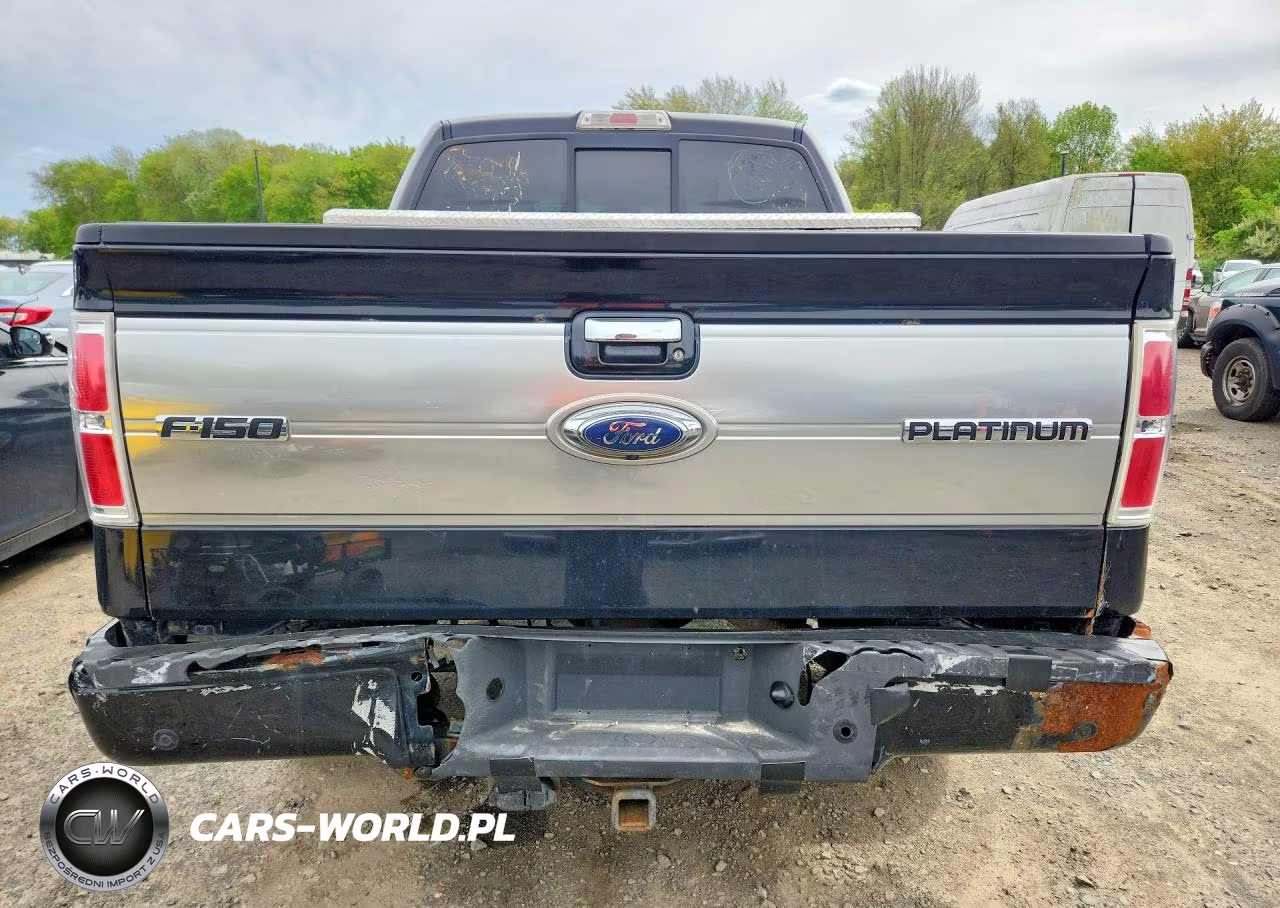 2010 Ford F150 Supercrew VIN:1FTFW1EV1AFB46084 - 6