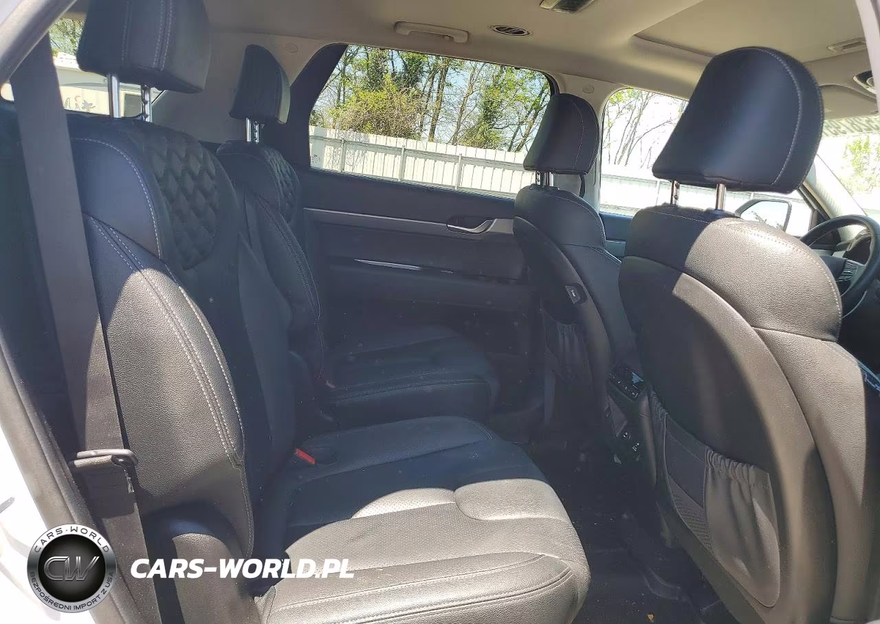 2020 Hyundai Palisade Sel VIN:KM8R3DHE7LU096272 - 11