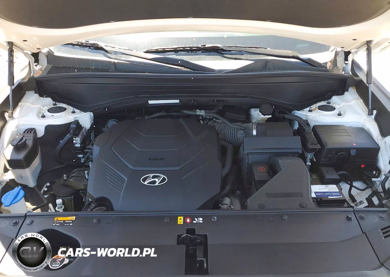 2020 Hyundai Palisade Sel VIN:KM8R3DHE7LU096272 - 12