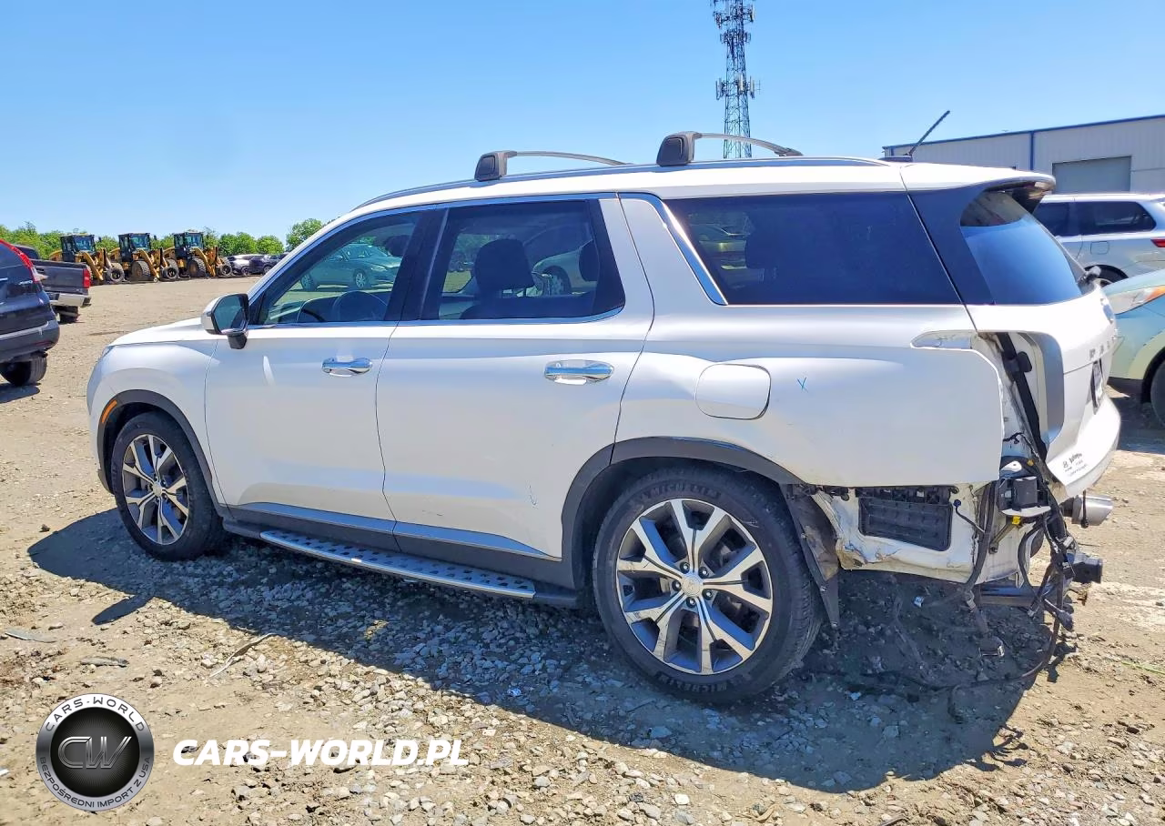 2020 Hyundai Palisade Sel VIN:KM8R3DHE7LU096272 - 2