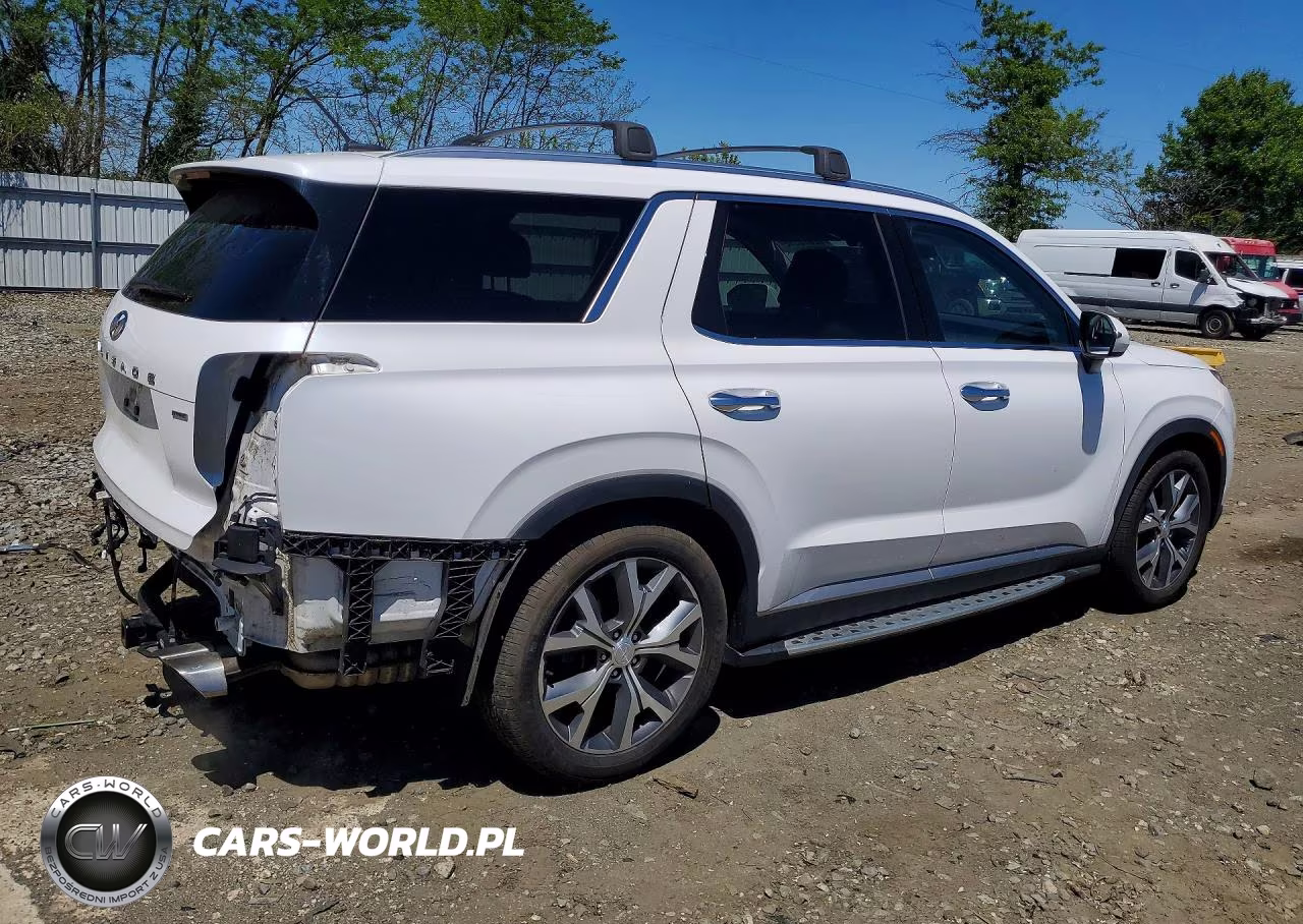 2020 Hyundai Palisade Sel VIN:KM8R3DHE7LU096272 - 3
