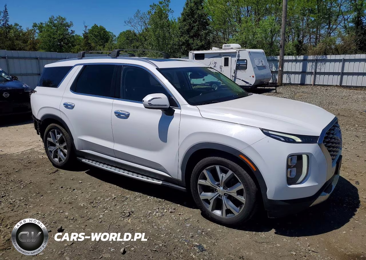 2020 Hyundai Palisade Sel VIN:KM8R3DHE7LU096272 - 4